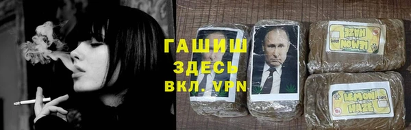 гашик Костерёво