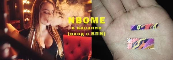 гашик Костерёво