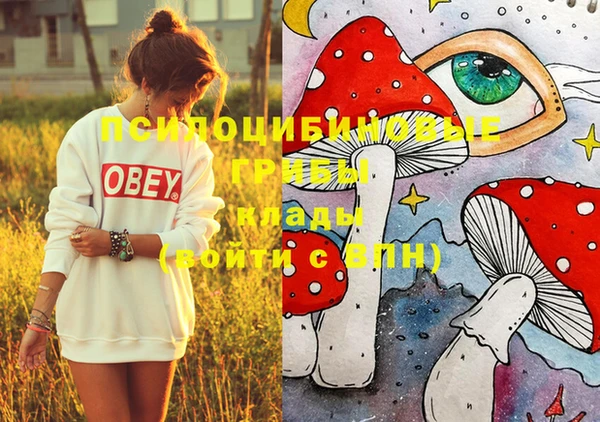 молекула духа Корсаков